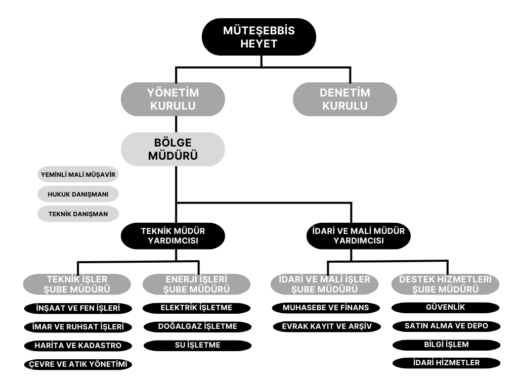 Organizasyon Şeması